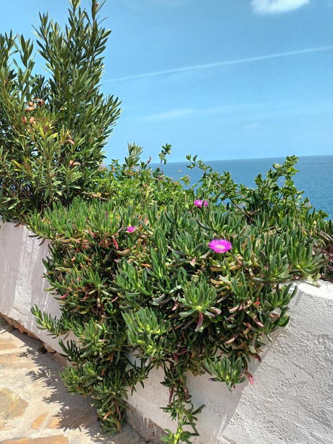 Mirabello Sea House Άγιος Νικόλαος Εξωτερικό φωτογραφία